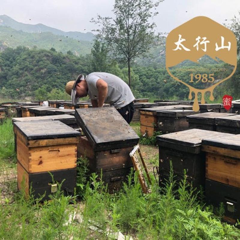 太行山土蜂蜜天然野生蜂蜜正宗百花蜜正品蜂蜜1斤也包邮