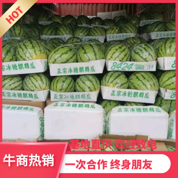 【供应电商批发市场商超】山东甜王西瓜，诚信代办欢迎联系