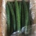 蜜刺黄瓜/青瓜，长条青皮色靓青瓜，物美价廉，色泽生鲜！
