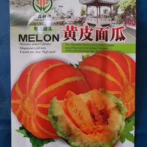 【优质】黄皮金红面瓜甜瓜种子产量高口感好