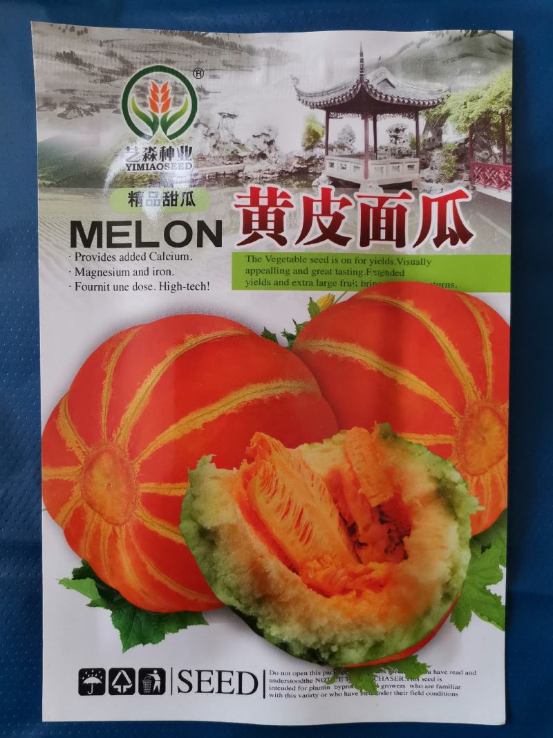 【优质】黄皮金红面瓜甜瓜种子产量高口感好