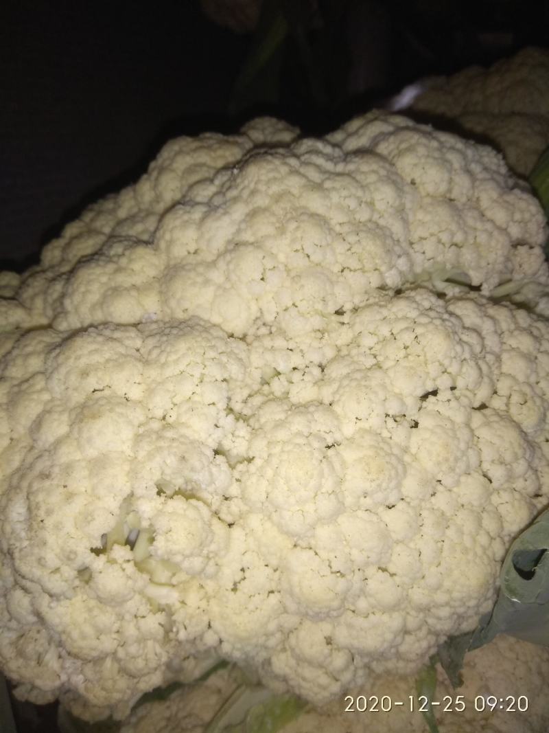 青梗小米粒菜花(库存优质货，