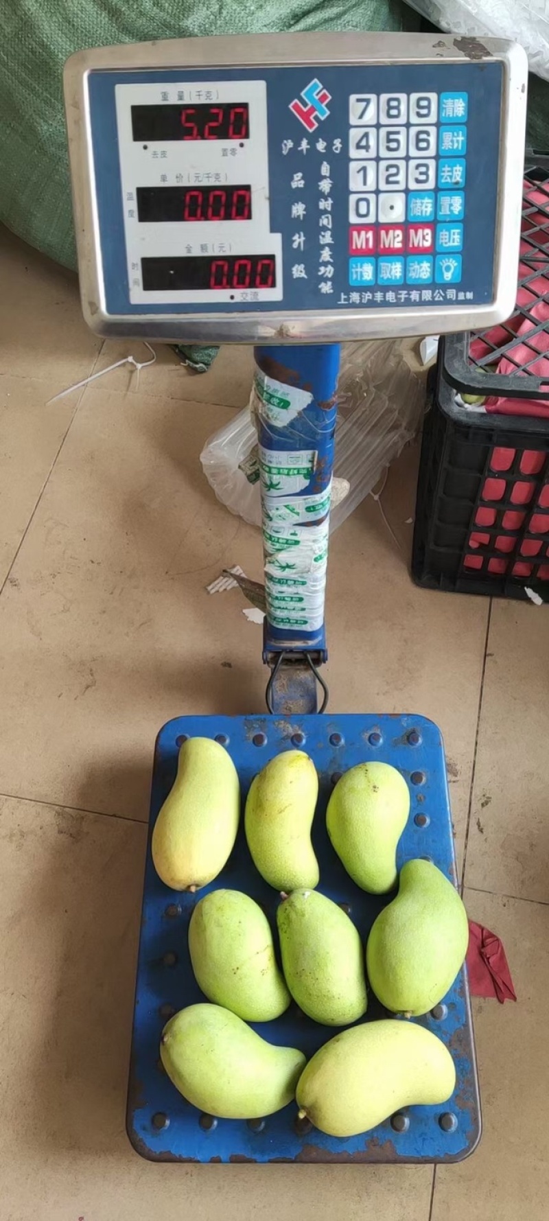 海南三亚金煌芒二级果奶茶甜品店电商专供支持一件代发批发