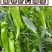 大豆腐熟发酵有机菌肥底肥缓释肥豆柏枯草芽孢杆菌代替羊粪