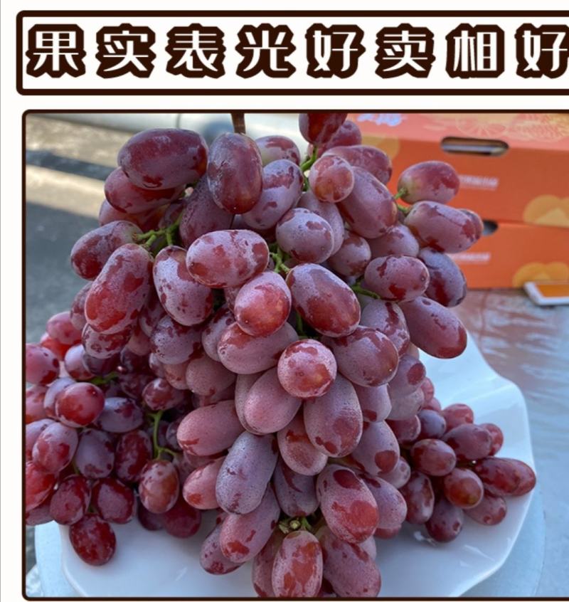 大豆腐熟发酵有机菌肥底肥缓释肥豆柏枯草芽孢杆菌代替羊粪