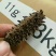 正宗北海道六排刺红海参，质量与价格成正比的好产品