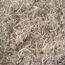 白前白前产地直销支持线上交易一公斤起发