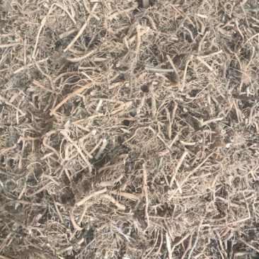 白前白前产地直销支持线上交易一公斤起发