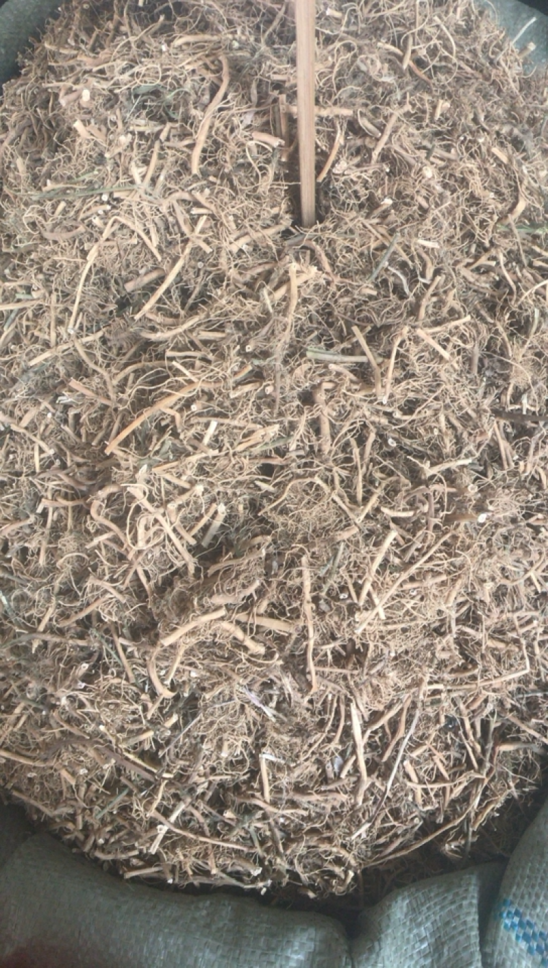 白前白前产地直销支持线上交易一公斤起发