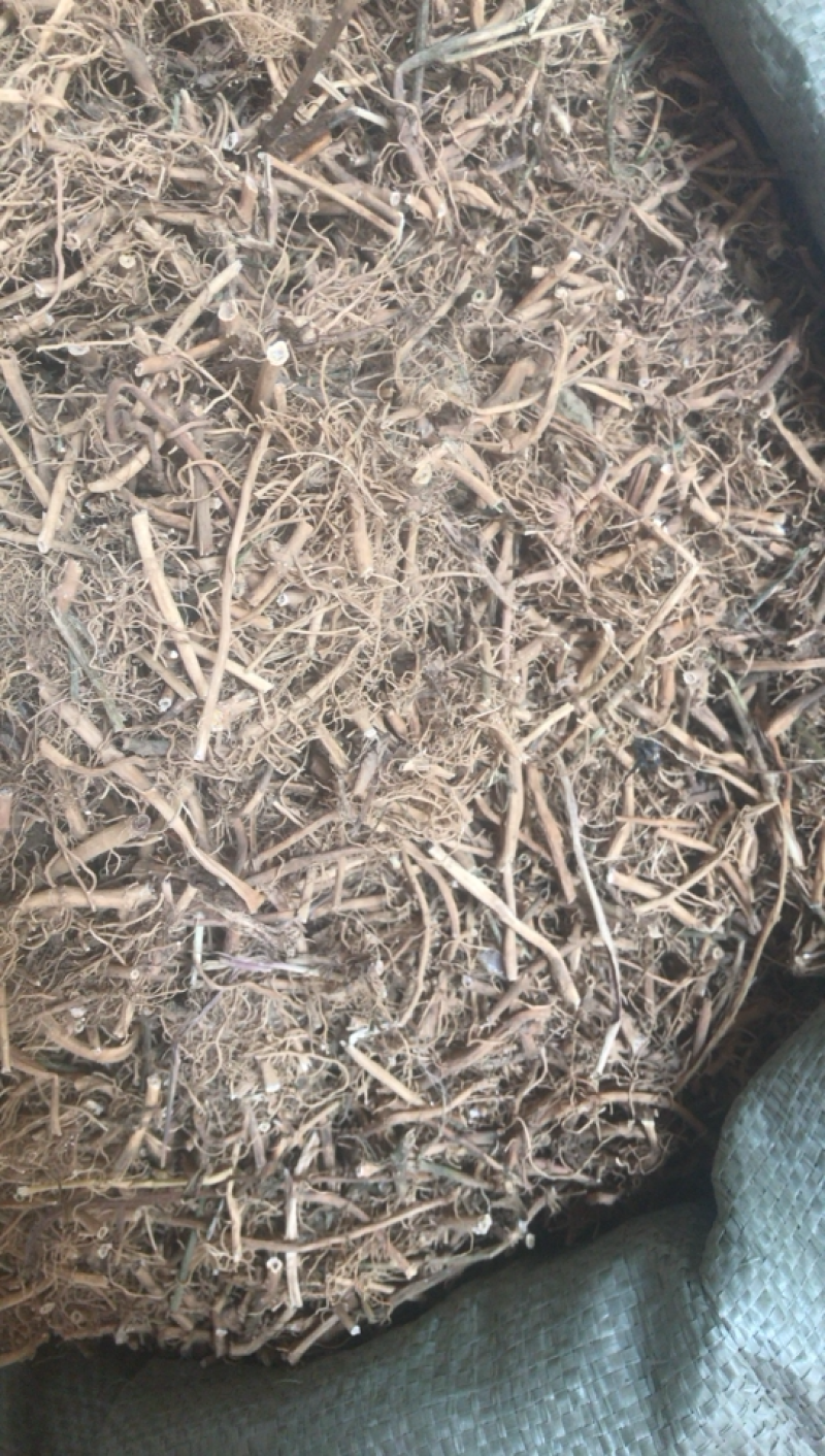 白前白前产地直销支持线上交易一公斤起发