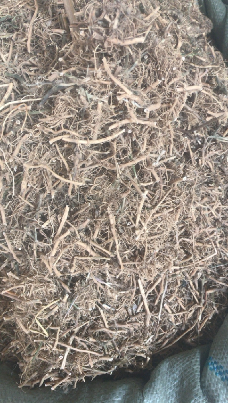白前白前产地直销支持线上交易一公斤起发