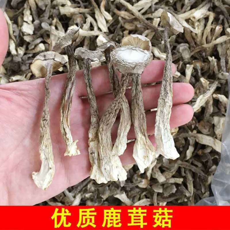 特级鹿茸菇无硫鹿茸菌新鲜无硫香菇干货土特产无添加产地直销