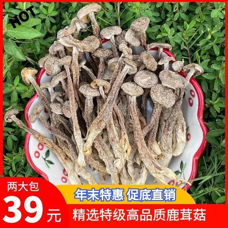 特级鹿茸菇无硫鹿茸菌新鲜无硫香菇干货土特产无添加产地直销