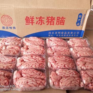 （精品脑花）新鲜冷冻猪脑生鲜猪脑花猪小脑猪脑商用火锅烧烤