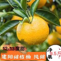 福建建阳桔柚12-13度甜超甜果径70-85