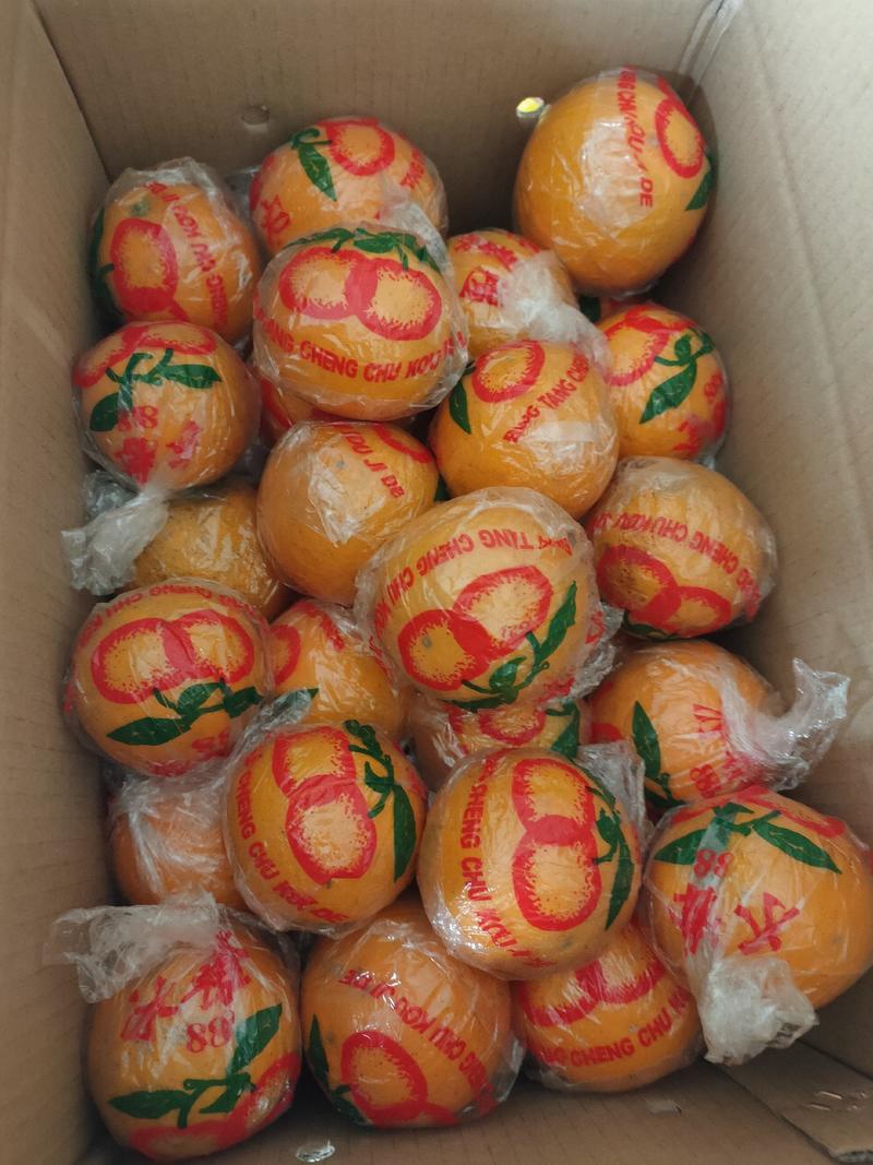 湖南省黔阳优质冰糖橙，果肉鲜嫩，甜度高，老少喜爱送礼佳品