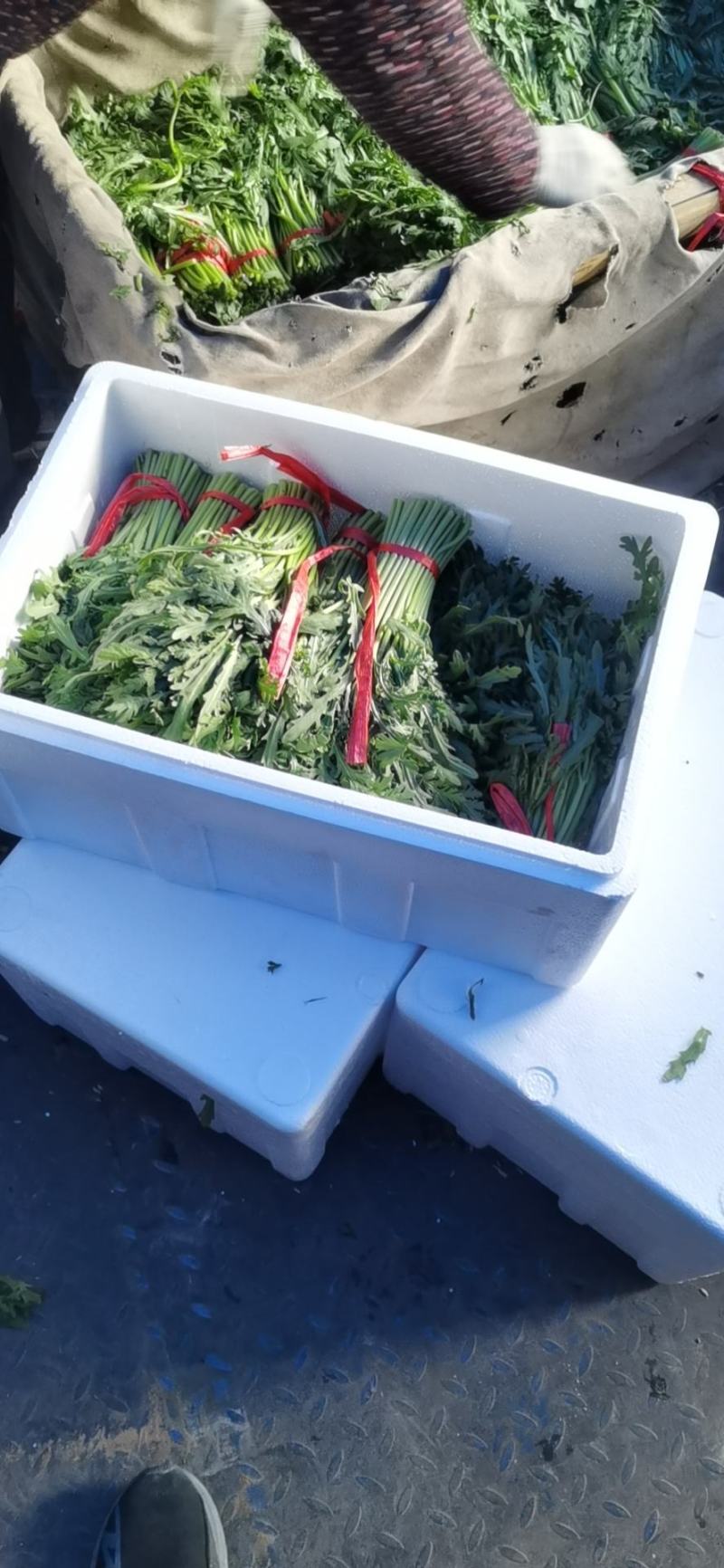 茼蒿便宜了，适合商超，赶集零卖，电商平台