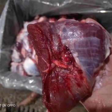 牛头肉碎纯干碎肉，牛头肉坠