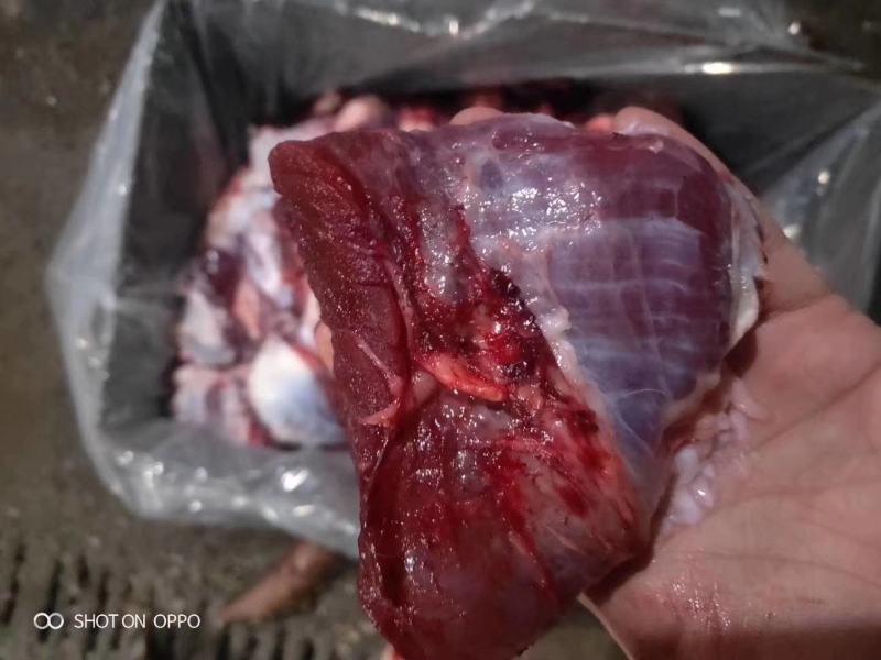 牛头肉碎纯干碎肉，牛头肉坠
