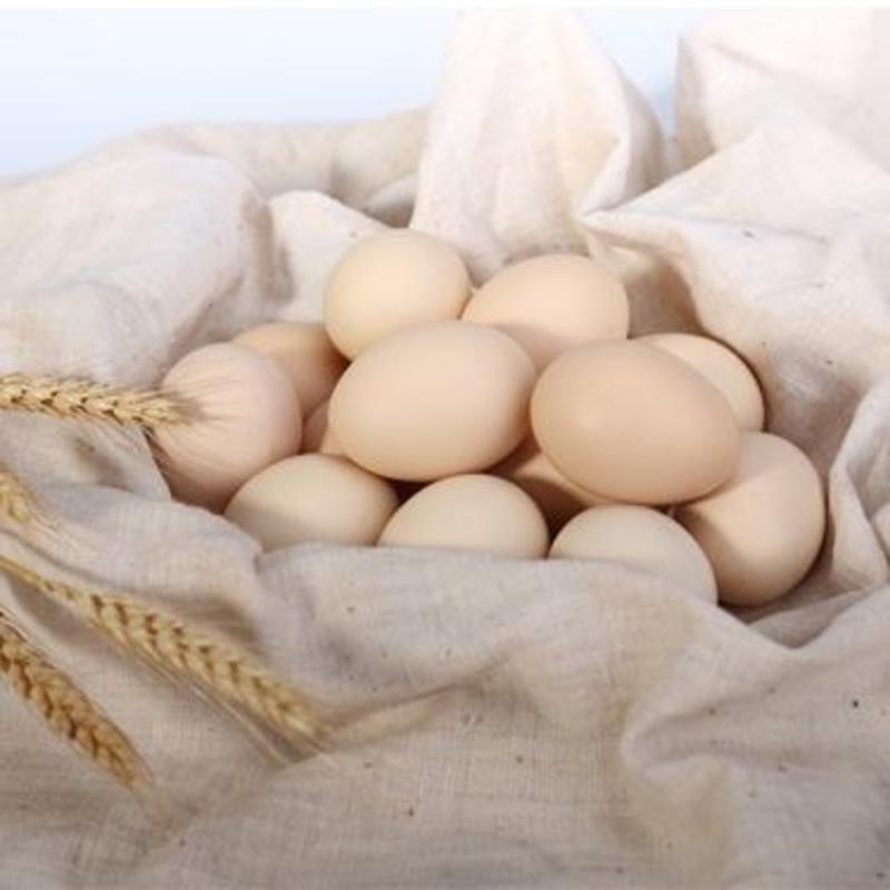 富硒土鸡蛋，吃富硒蛋增强抵抗力