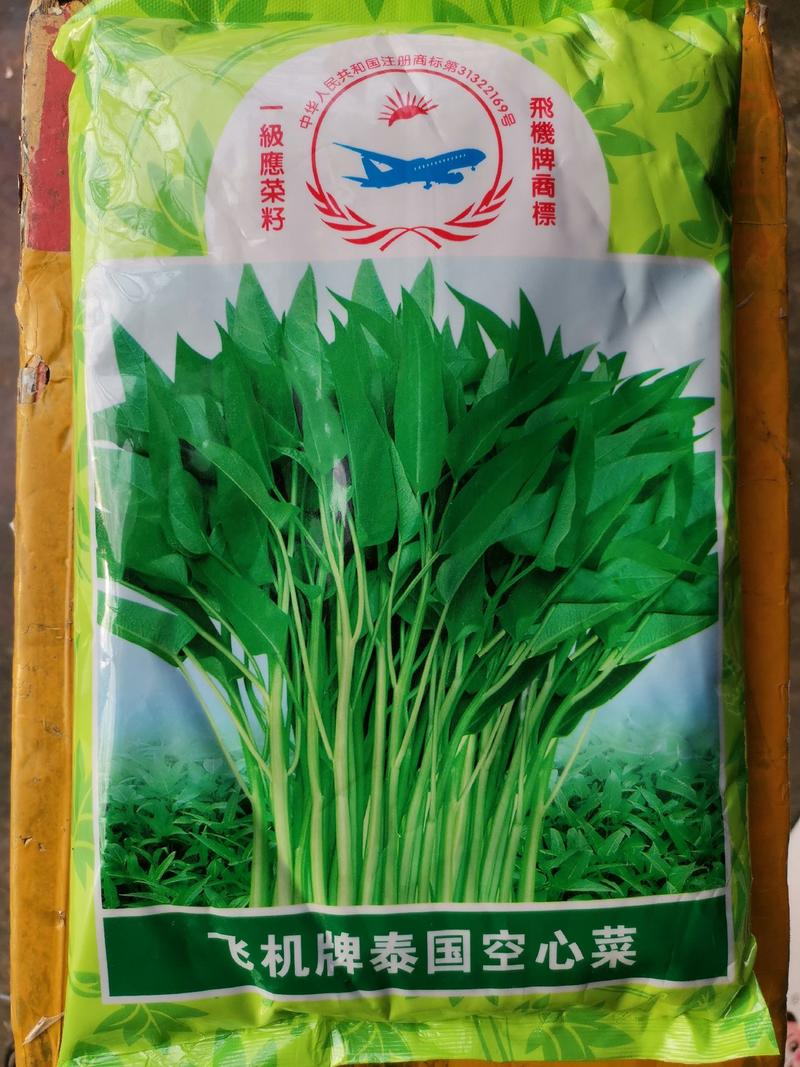【精选】泰国柳叶空心菜种子颜色青绿空心品质好口感