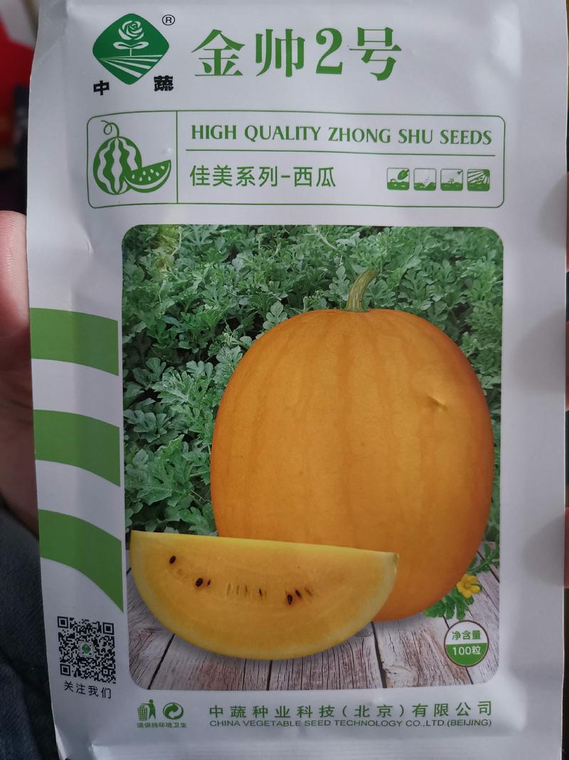 【优质】黄壤西瓜种子单个4-5斤左右花皮黄壤西瓜种子