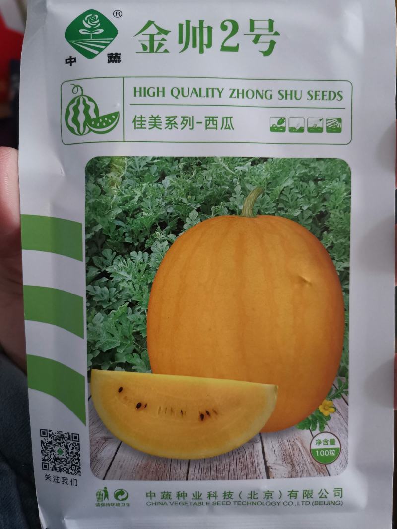 【优质】礼品西瓜黄美姬黄壤小西瓜质量保证品质保证