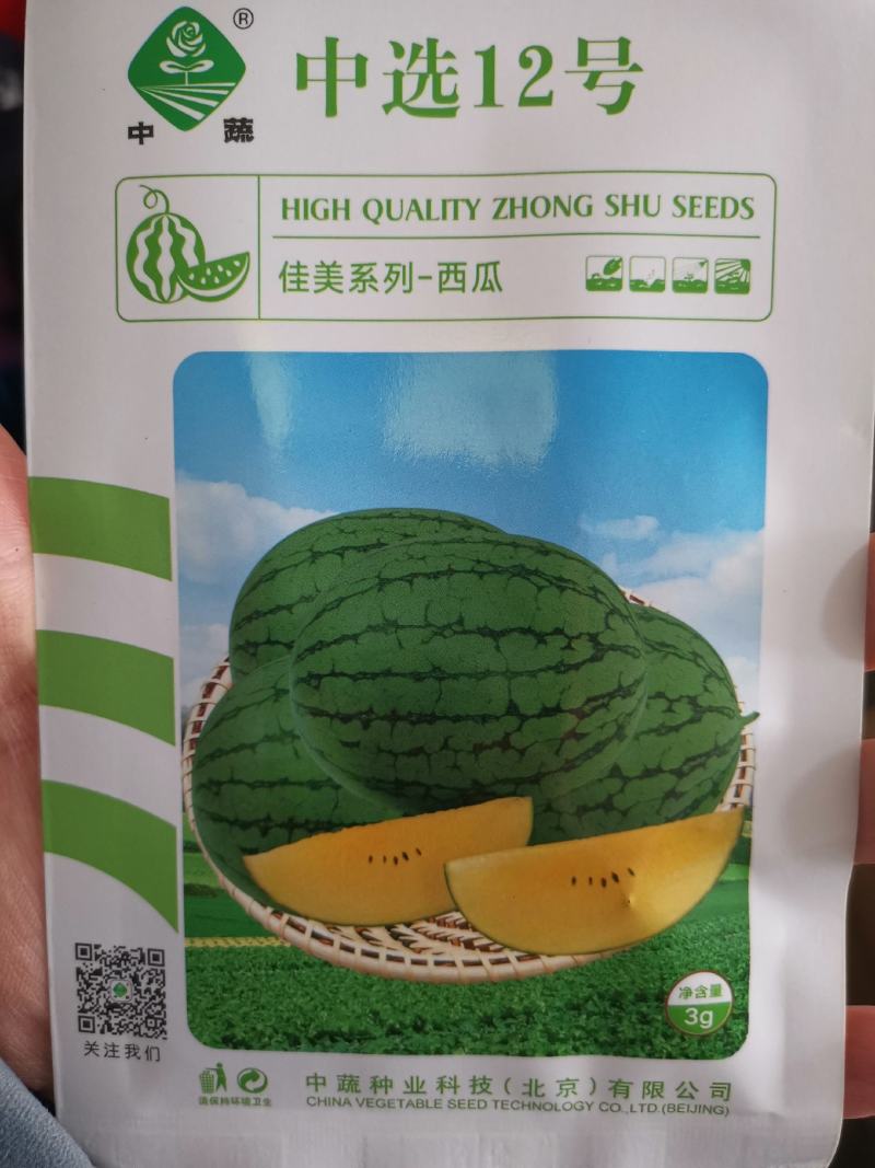 【优质】礼品西瓜黄美姬黄壤小西瓜质量保证品质保证