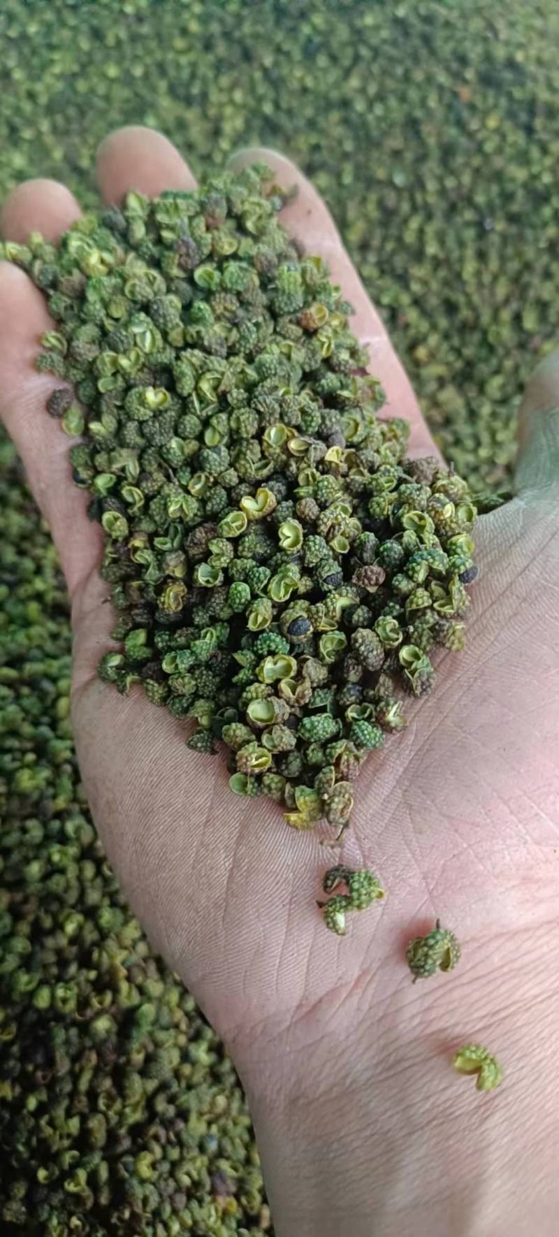 【包邮】5斤起售特麻云南青花椒青麻椒金阳青花椒转红椒