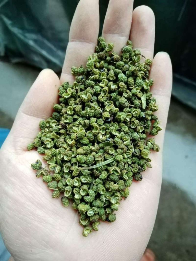 【包邮】5斤起售特麻云南青花椒青麻椒金阳青花椒转红椒