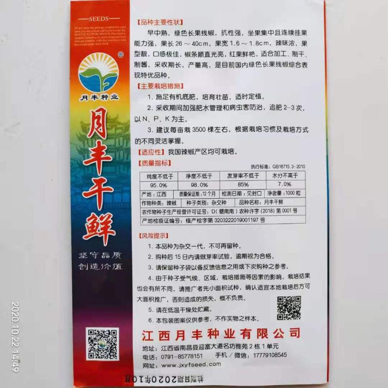 月丰螺丝线种子一代杂交品种基地种植种子