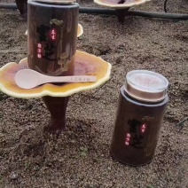 【特别推荐】长白山本地灵芝孢子粉，油花大易吸收