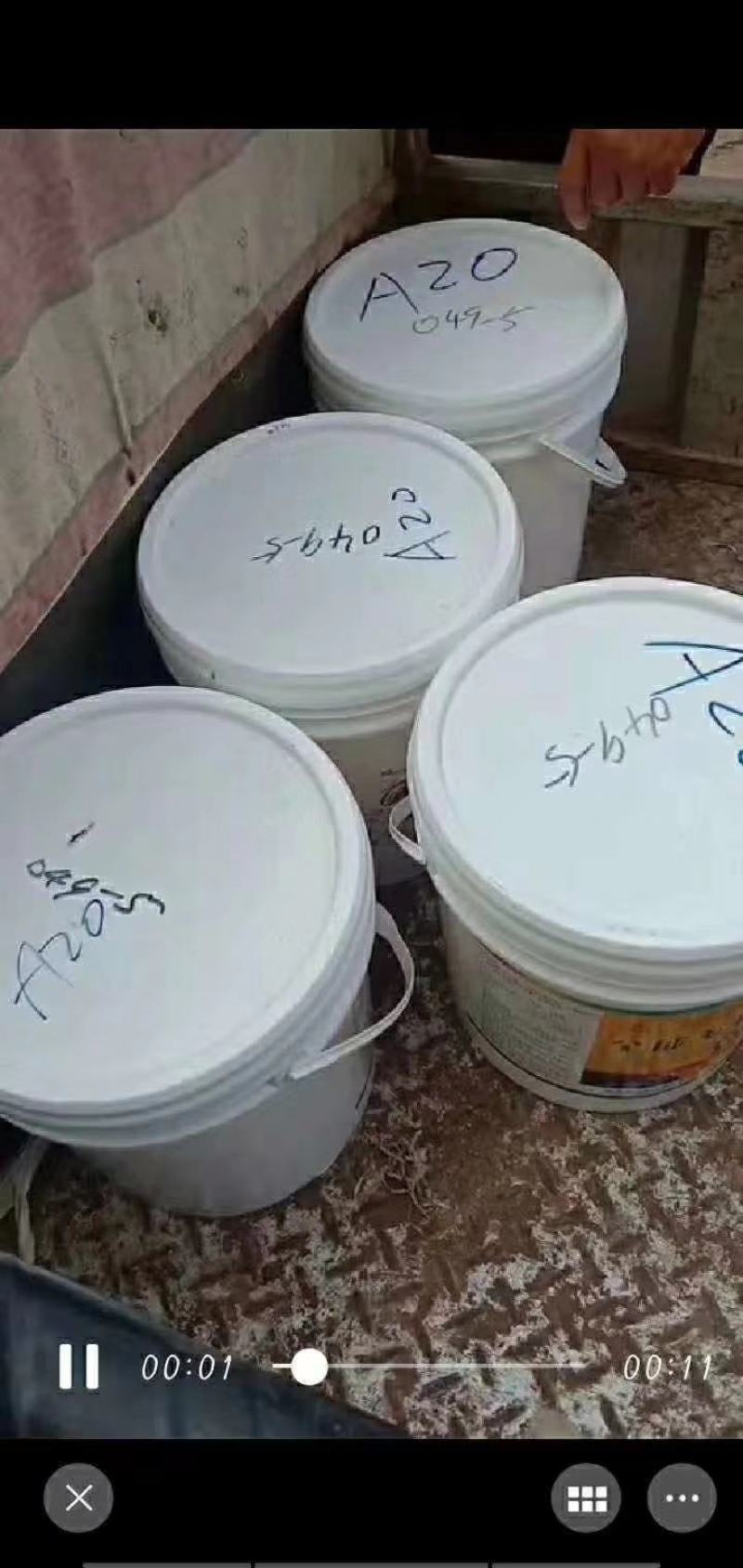 水溶速补复合多维，抗热应激，补充体质所需各种维生素