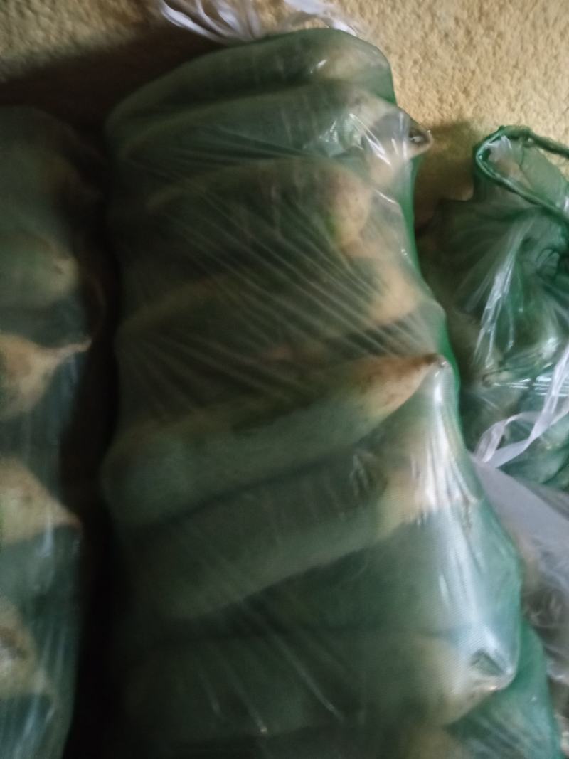 冷库水果萝卜，产地直销，一手货源，脆甜可口。