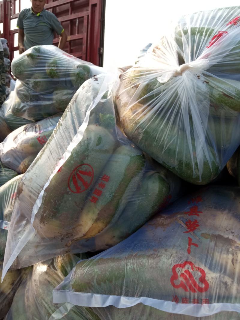 冷库水果萝卜，产地直销，一手货源，脆甜可口。