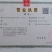 河南万亩香菜种植基地【大叶香菜】价格亲民视频看货采购