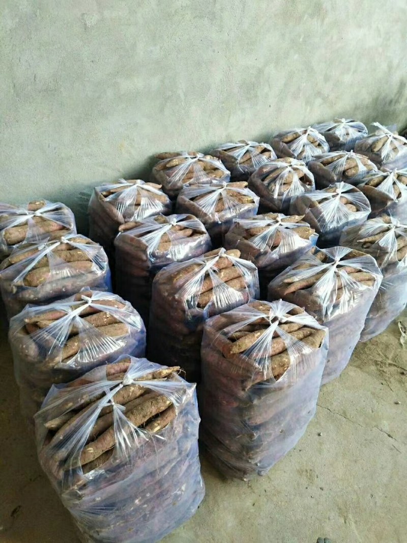 新鲜板栗红薯一件代发现挖现发支持微商电商等团购量大从优