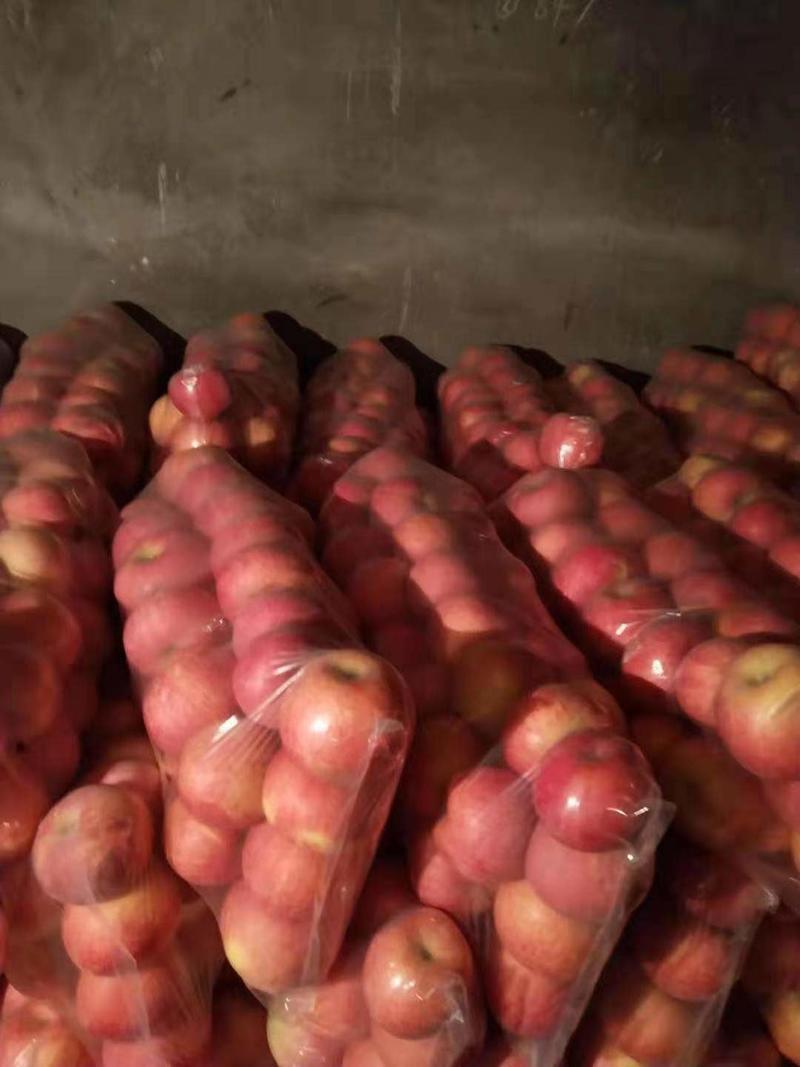 红富士苹果产地一手货源，各种规格价格冰点，。