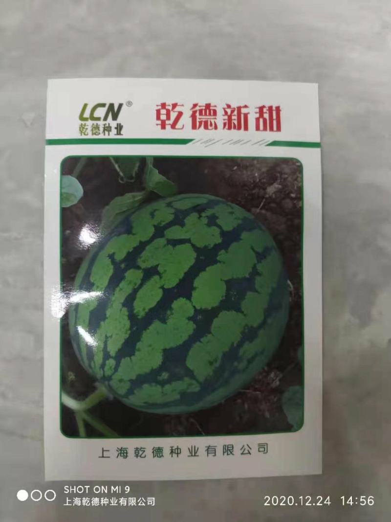 【包邮】乾德新甜糖度高脆甜可口耐裂易储运