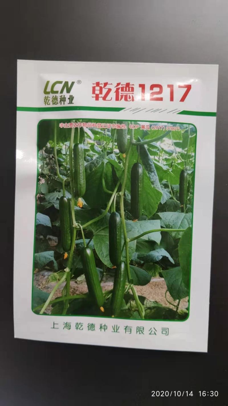 【包邮】乾德1217无刺水果黄瓜春秋越冬茬口栽培