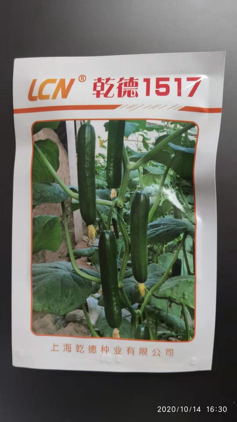 【包邮】乾德1517登记品种口感无刺水果黄瓜