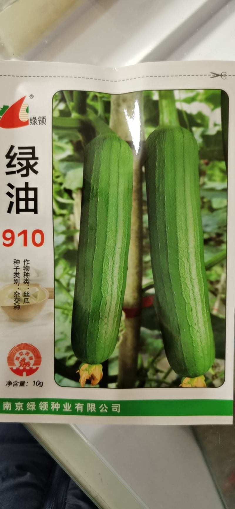 油亮短油皮丝瓜种子高产短丝瓜25-30厘米油亮原袋发货