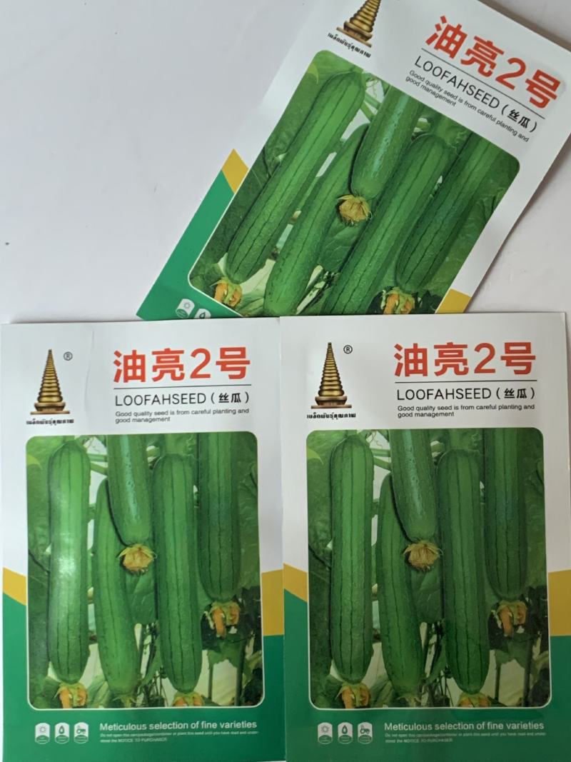 油亮短油皮丝瓜种子高产短丝瓜25-30厘米油亮原袋发货