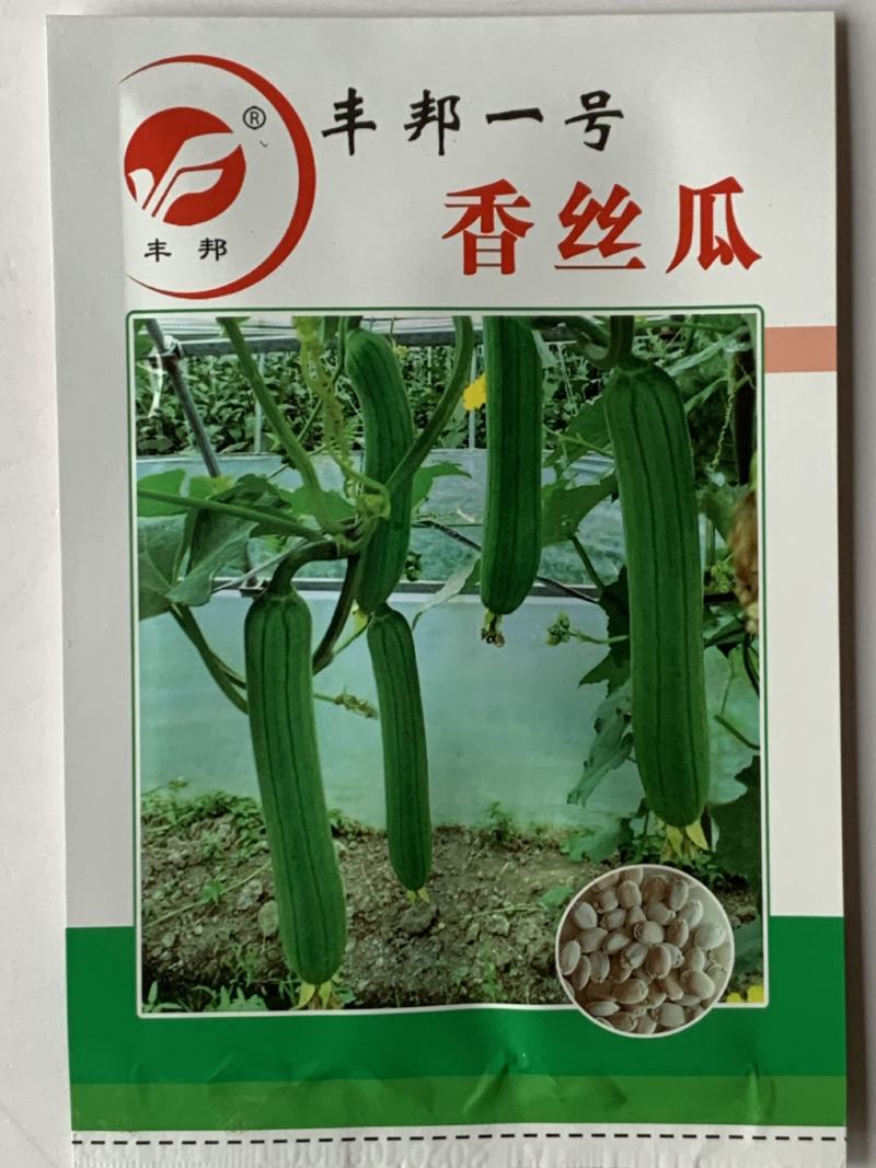 油亮短油皮丝瓜种子高产短丝瓜25-30厘米油亮原袋发货
