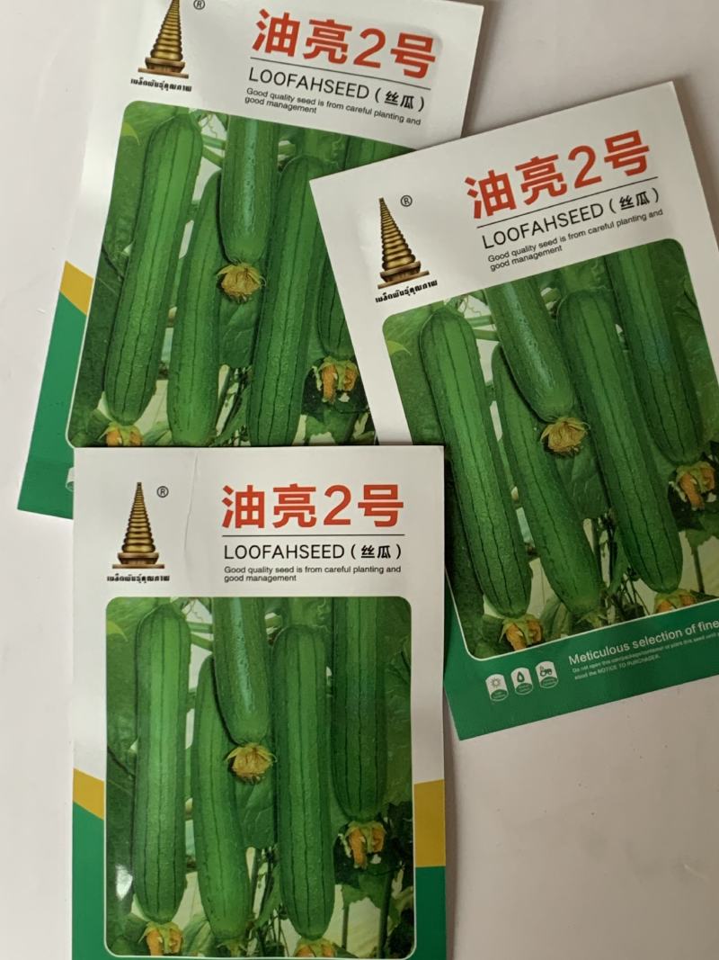 油亮短油皮丝瓜种子高产短丝瓜25-30厘米油亮原袋发货