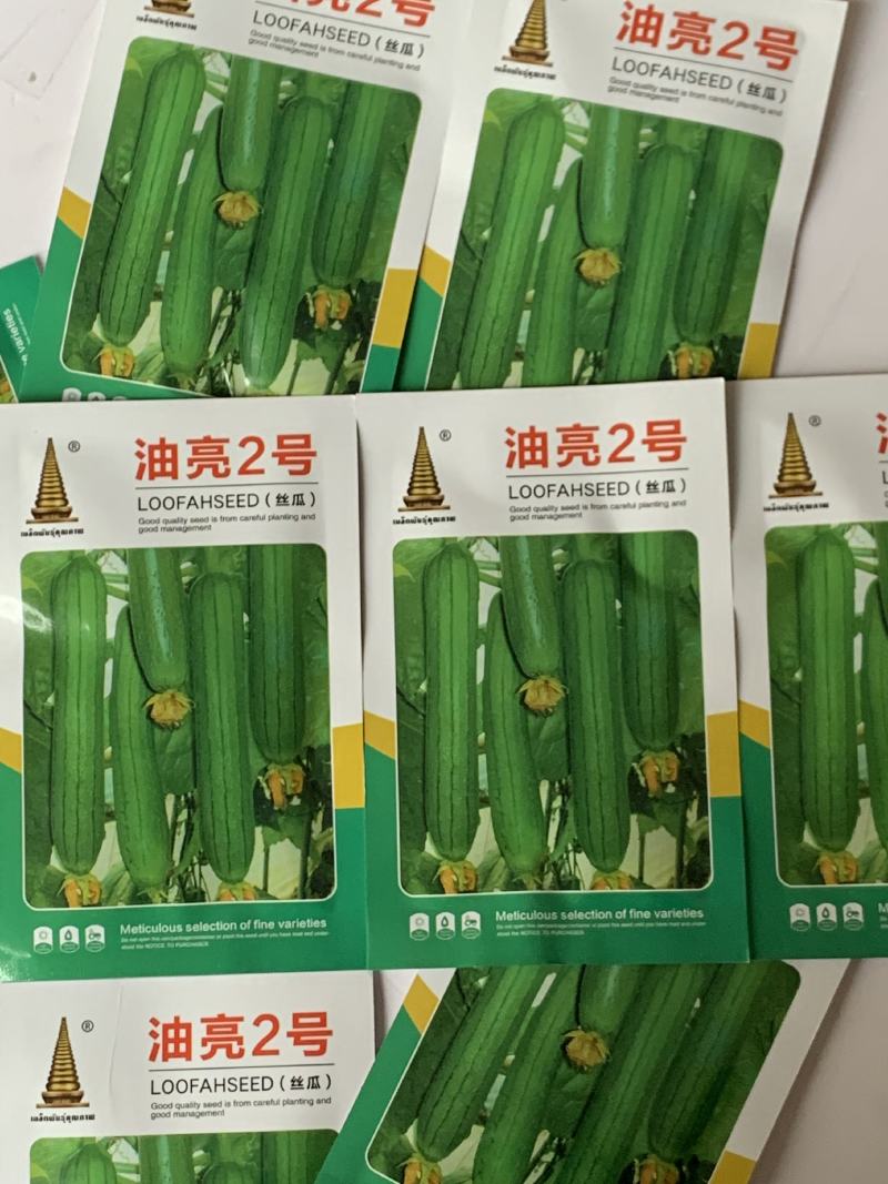 油亮短油皮丝瓜种子高产短丝瓜25-30厘米油亮原袋发货