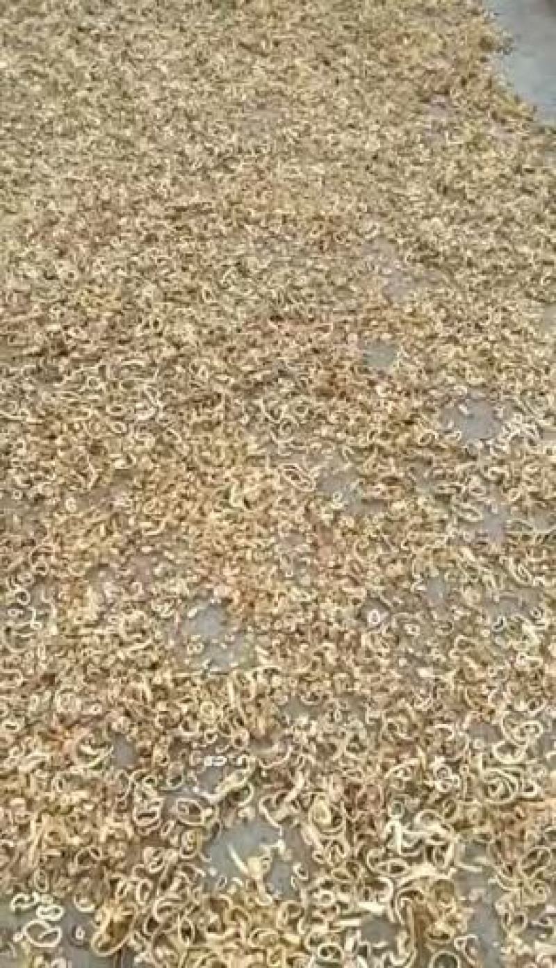 桑白皮个丝（统货，选货）