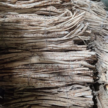 桑白皮个丝（统货，选货）