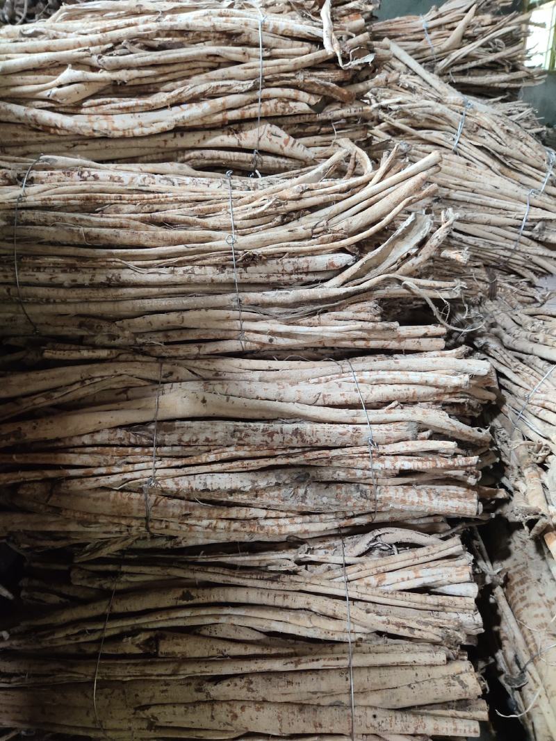 桑白皮个丝（统货，选货）