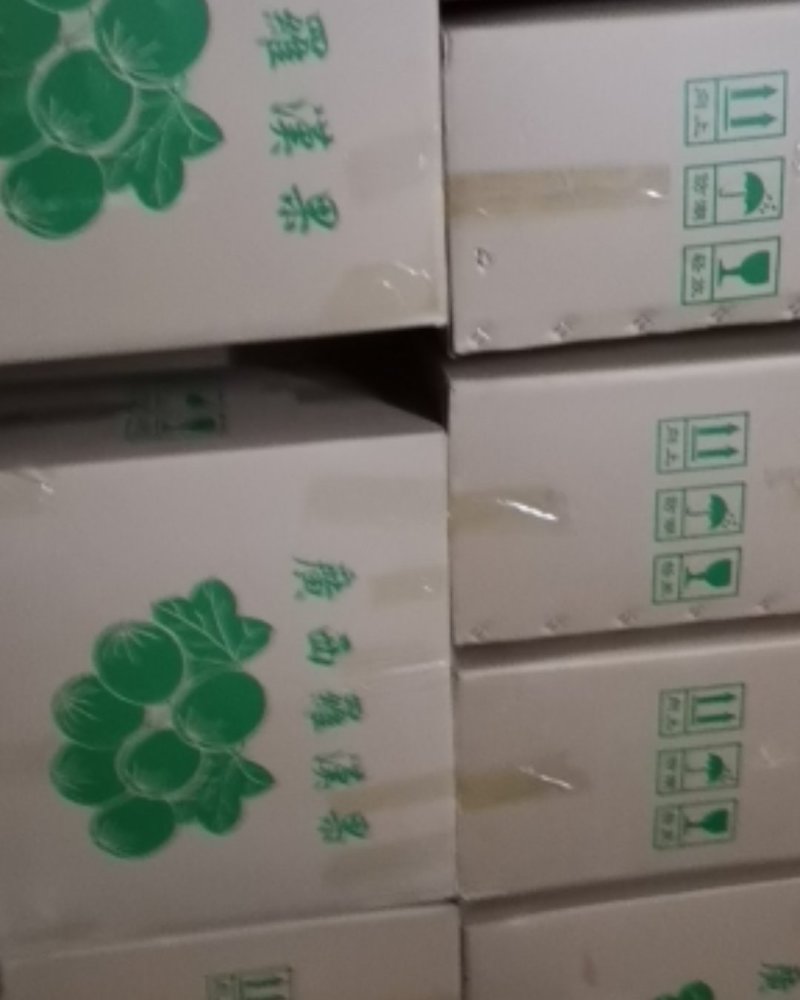 桂林罗汉果外果野生果一手货源批发价格优势同行可批